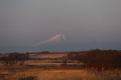 栃木から見る富士