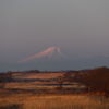 栃木から見る富士