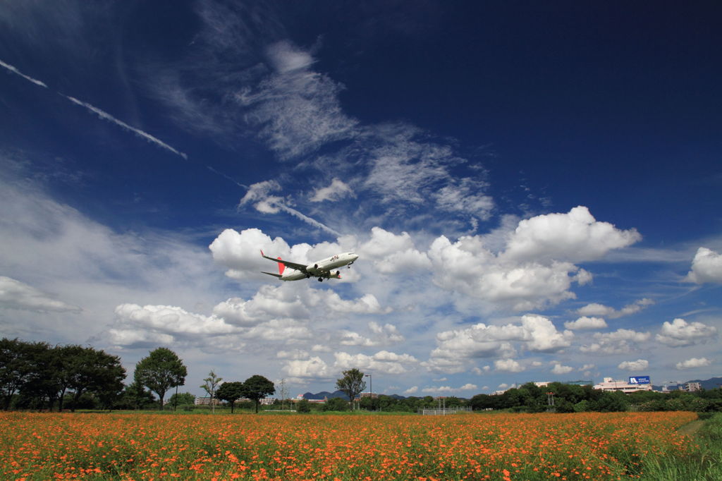 秋空に滑空