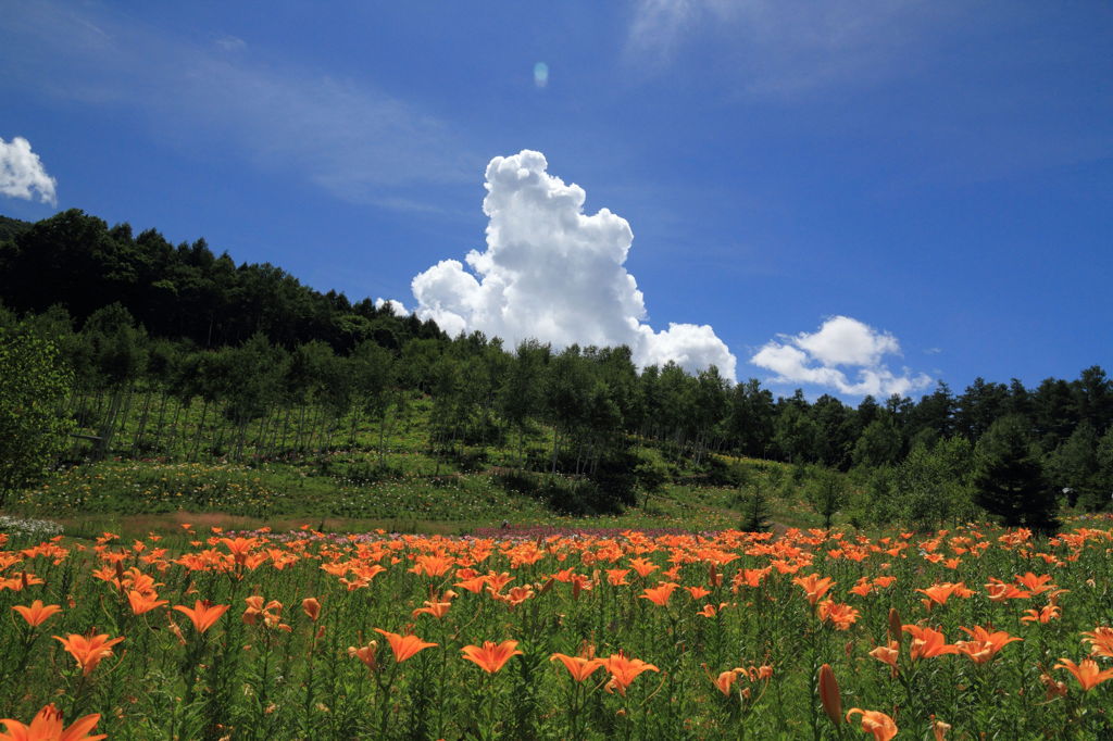夏空