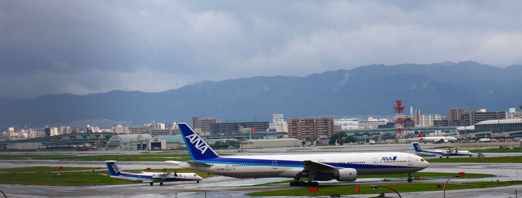 親子で散歩