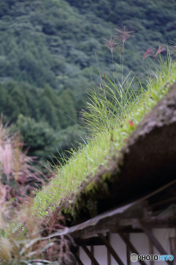 屋根の上の秋