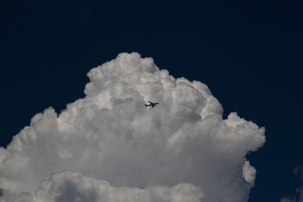 夏空へ