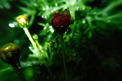 ３月９日−２