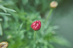３月１０日