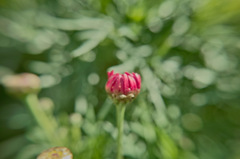 ３月１１日