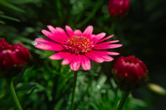 ３月１８日