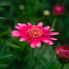 ３月１７日