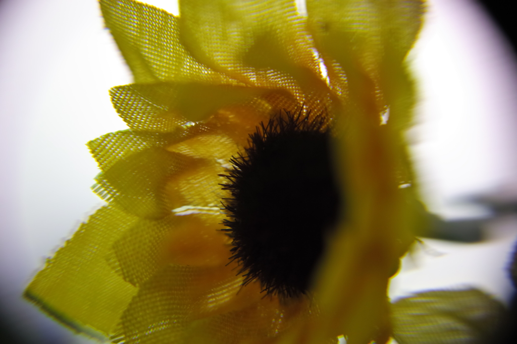 ヨドバシその３