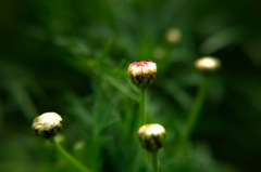 ３月１日