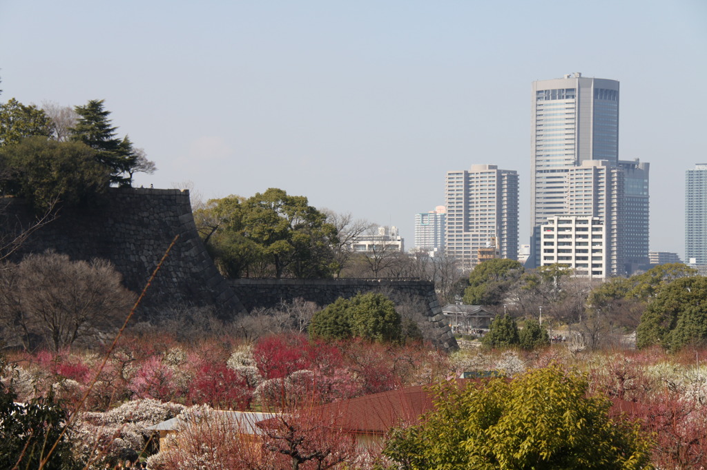 大阪城公園