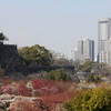 大阪城公園