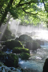幻想的な世界
