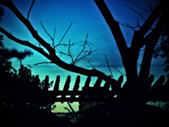 silhouette