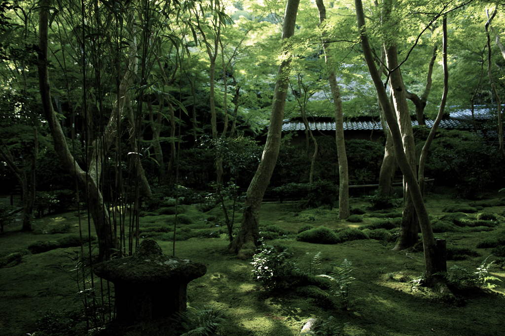 祇王寺　壱