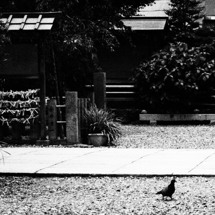 rough monochrome#29
