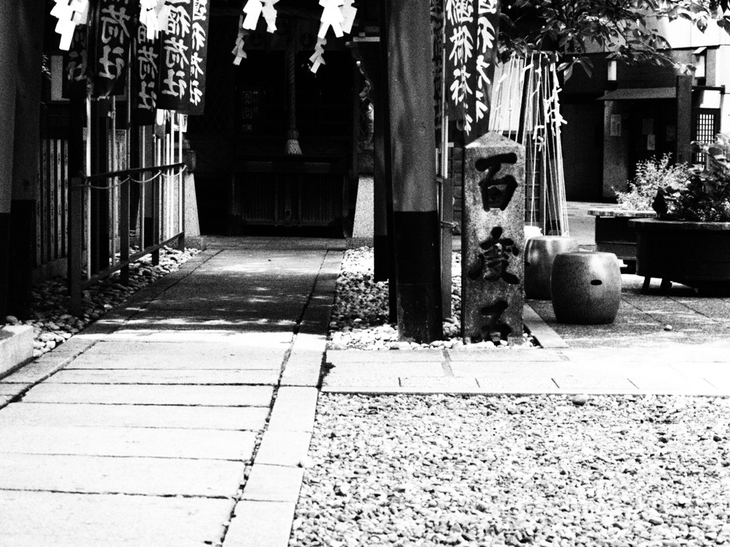 rough monochrome#30