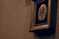 gentle sepia#5