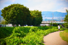夏のおわりに.