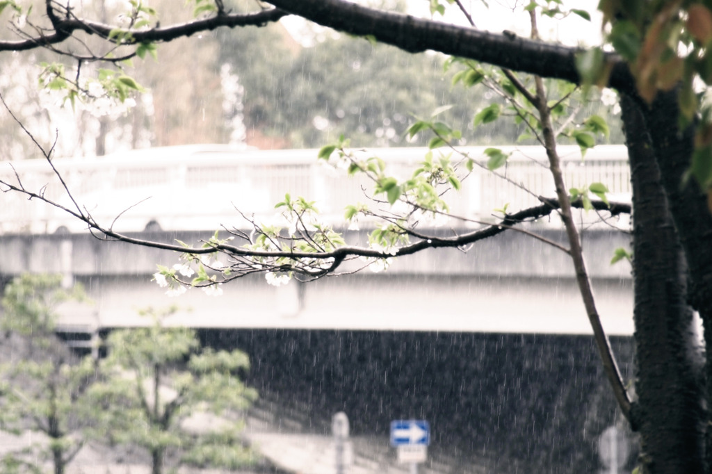 或ル雨ノ日ノ事 #2