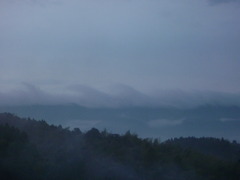 雲海
