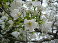 春間近