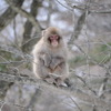 見つめられて