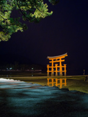 雪の夜の宮島１