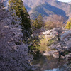 上田城のお堀から