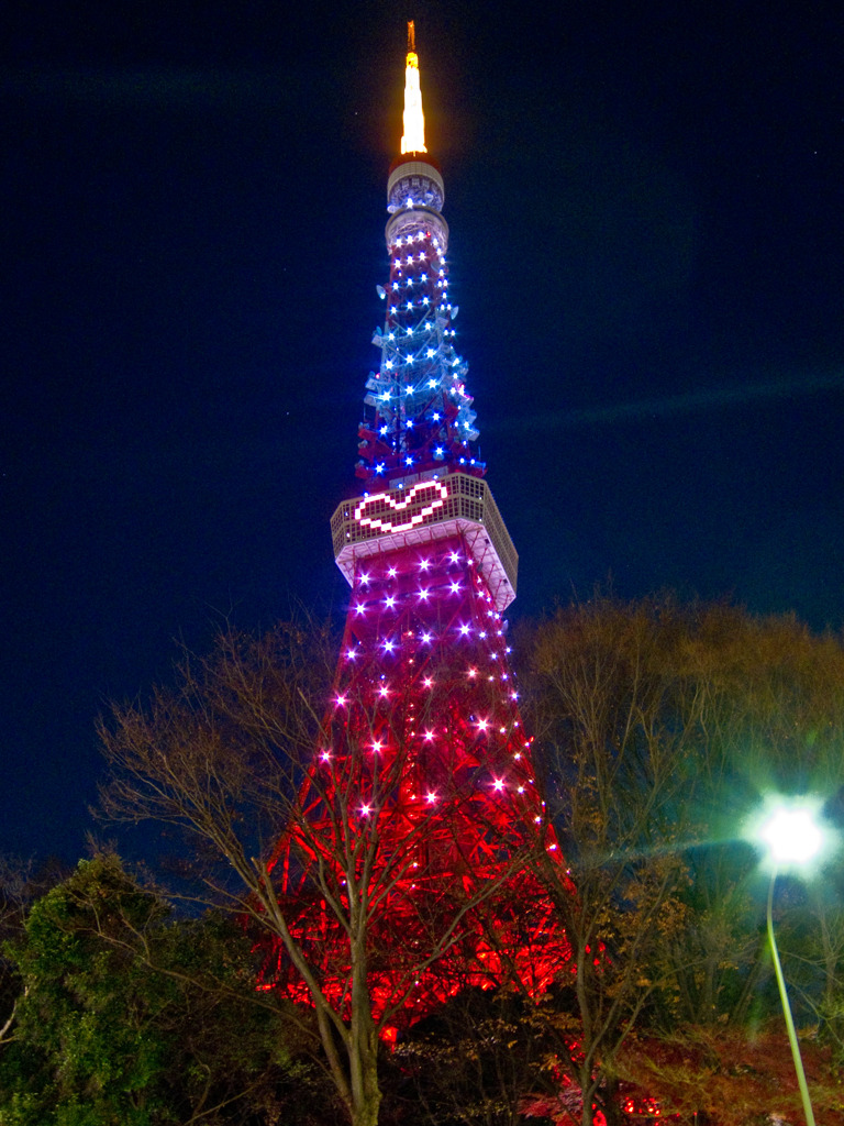 東京タワー　クリスマスイルミネーション