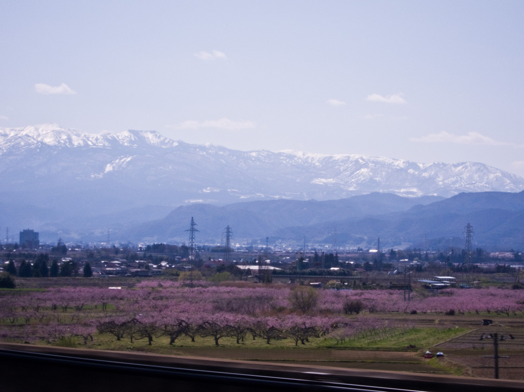 残雪残る山々と桃