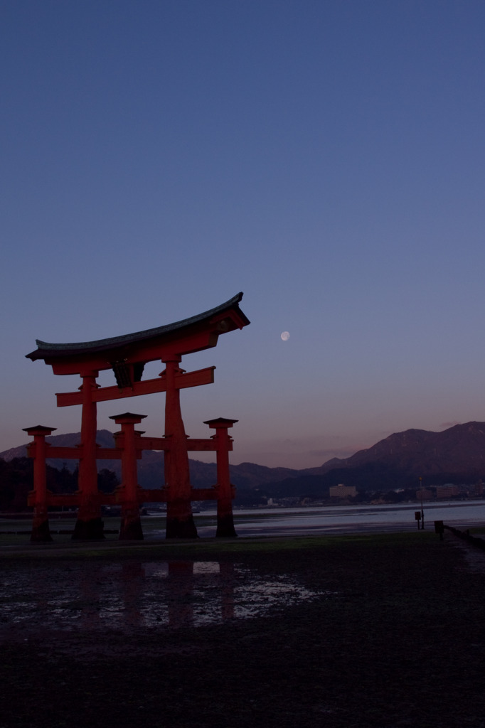 朝の宮島　月の入り前