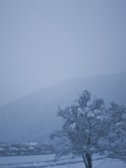 雪の風景