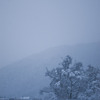 雪の風景