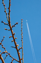 飛行機雲