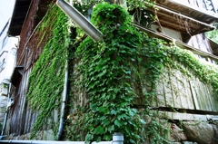 65 箱のワクワク、フィルム写真