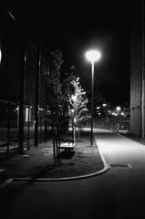 Park at night　１