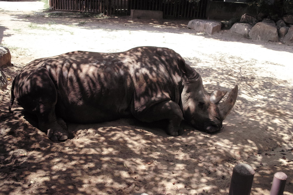 40 箱のウキウキJPEG撮り写真