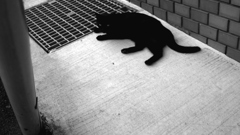 自己疎外の中に残され