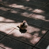 47 箱のワクワク、フィルム写真