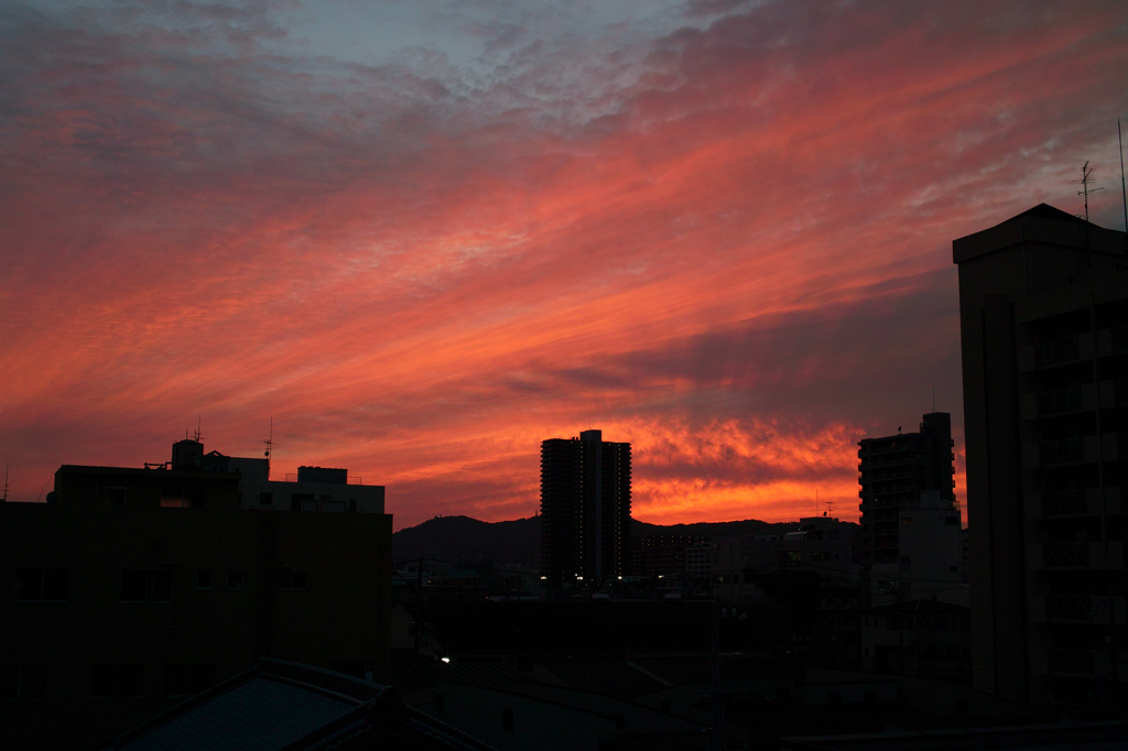 夕日
