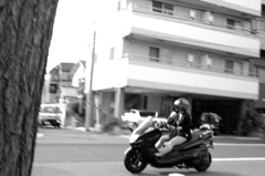 Sexy Rider