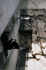 50 箱のワクワク、フィルム写真