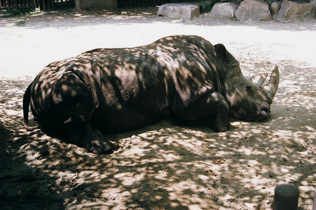 48 箱のワクワク、フィルム写真