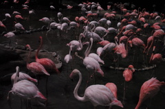 44 箱のウキウキJPEG撮り写真