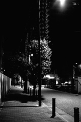 Street at night