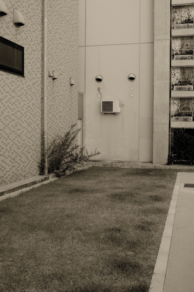 2010:08:07 09:09:46