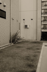 2010:08:07 09:09:46