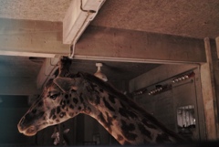 43 箱のウキウキJPEG撮り写真