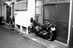 また走れるかな